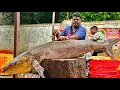 Download Lagu KASIMEDU 🔥 SPEED SELVAM | 40KG GIANT COBIA FISH CUTTING VIDEO | 4K VIDEO | KM FISH CUTTING 
