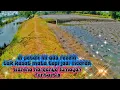 Download Lagu meskipun tak kasat mata tapi dia lebih berharga ketimbang sekarung ikan cepret! berebut sisa panen