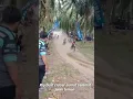 Download Lagu croser Sumut berduka//iven goa kembar semoga kejadian seperti ini tidak terulang kembali#shorts