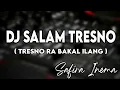 Lagu DJ SALAM TRESNO || TRESNO RA BAKAL ILANG || SAFIRA INEMA