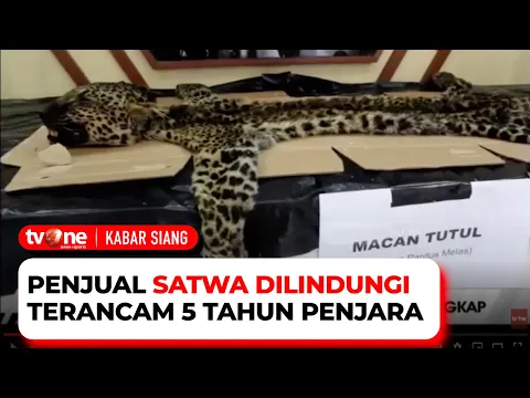 Penjual Satwa Dilindungi Ditangkap dan Terancam 5 Tahun Penjara