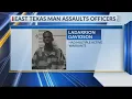 Palestine man in jail after assaulting officers