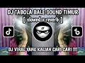 Download Lagu DJ TIKTOK TERBARU DJ TABOLA BALE X PICA PICA 2 SLOW VIRAL TIKTOK FULL SONG MAMAN FVNDY 2025 TERBARU