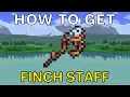 How To Get Finch Staff in Terraria 1 4 4 9 Terraria How To Get Finch Staff