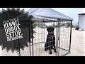 Portable Dog Kennel From Retriever Unbox Setup Breakdown