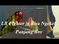 Download Lagu Lovebird Fighter Durasi 1 menit up