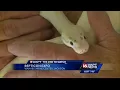 Reptile show coming to Jackson