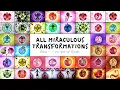 Every Miraculous transformation Season 1-4