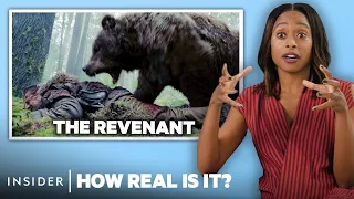 bear expert rates 9 bear attacks in movies and tv how real is it insider