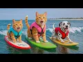 Download Lagu Mama Cat and Kitten’s Magical Seaside Holiday 🌊☀️ A Dream Vacation Full of Healing Moments 💙✨