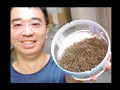 Download Lagu PORTOTI Mosquito Killer Perangkap Nyamuk