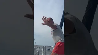 Hard aground! Welcome to Florida ! shallow water everywhere ⛵️😎⚓️ #sailboat #sailing #florida