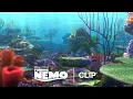 Celebrating World Ocean Day Clip Finding Nemo
