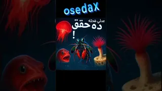 لو شفت دي في البحر اهرب فورا 