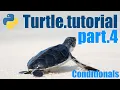 Python Turtle Tutorial - Lesson 4