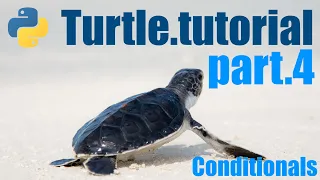 Python Turtle Tutorial - Lesson 4