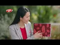 Lifebuoy Multivitamins 10X Germ Protection for Healthy Skin