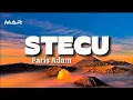 Download Lagu Stecu - Faris adam | speed up version new 2025