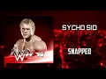 Sycho Sid - Snapped AE Arena Effects