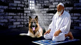 اغرب من الخيال الكلب الذي دخل على شيخ ليأكله فسجد بجواره وهو يصلي في الزنزانة 