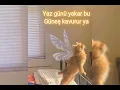 Hadise - Yaz günü ( zehirlendim)