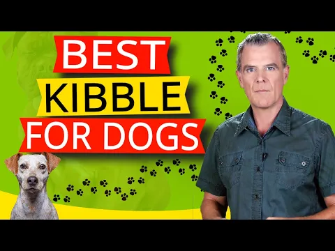 Download MP3 Best 3 Dog Food Brands (Quality NATURAL Dog Kibble)