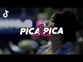 Lagu DJ PICA PICA 2 VIRAL FYP TIKTOK TERBARU 2025! Akbar Chalay