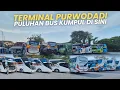 Download Lagu HUNTING BUS ANGKATAN REGULER ‼️ Berlian Jaya Kompak Berangkat Paling Akhir Semua 🔥