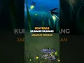 Download Lagu ALASAN KUNANG-KUNANG Sudah jarang di temukan!! #edukasi #alam #short #shorts #kunangkunang