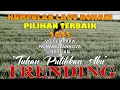 Download Lagu Kumpulan LAGU ROHANI Pilihan Terbaik 2025 TUHAN PULIHKAN AKU(Official Music Video)