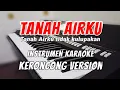 Download Lagu TANAH AIR KU - KARAOKE INSTRUMEN KERONCONG