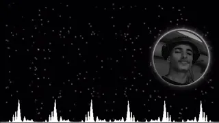 شوفت الحقيقه   ريمكس   دي جي سلو     دندنها