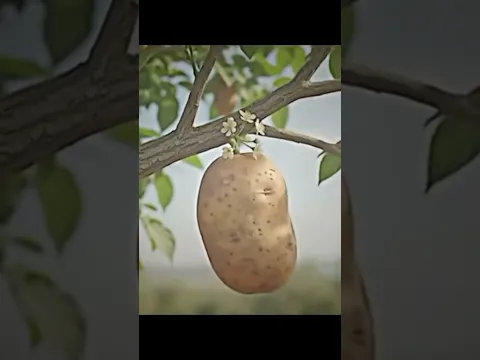 بصراحة كذا كثيررررر علي 😭