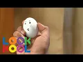 Domes Full Episode LOOK KOOL Scholastic STEAM