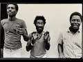 Lee Scratch Perry Purity Rock (Live)