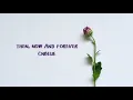 Download Lagu 씨엔블루 (CNBLUE) – 과거 현재 미래 (THEN, NOW AND FOREVER) | ENGLISH LYRICS