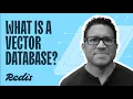 What is a Vector Database Explained Simply with Real-World Examples