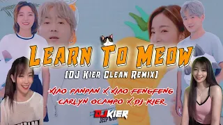 learn to meow clean mix xiao panpan u0026 xiao fengfeng ft carlyn ocampo dj kier 