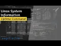 Uptime Command View System Information in Linux