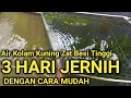 Lagu TERNYATA GAMPANG !! Menjernihkan Air Kolam Nila Yang Kuning Dan Mengandung Zat Besi Tinggi