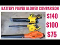 3 Battery Powered Leaf Blower DEWALT BLACK DECKER Cordless Blower COMPARISON