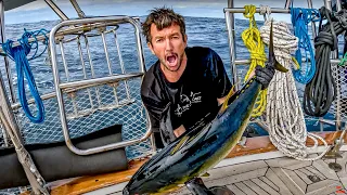 LIFE AT SEA Sailing the SOUTHERN coast of AFRICA! Ep 402