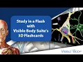 Study in a Flash with Visible Body Suite s 3D Flashcards