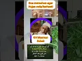 Download Lagu Doa agar hujan reda dari Mbah moen #quotes #doamustajab #kiyai