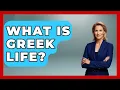 What Is Greek Life - The College Explorer