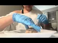 sheep dissection