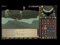 Elite Task - DKS Rex