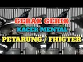 Download Lagu Cara Memilih Burung Kacer Yang Fhigter Di Ombyokan
