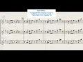 No Violin