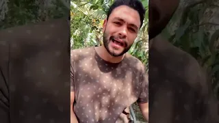 قصيدة سند العمر   فارس قطريه               دندنها
